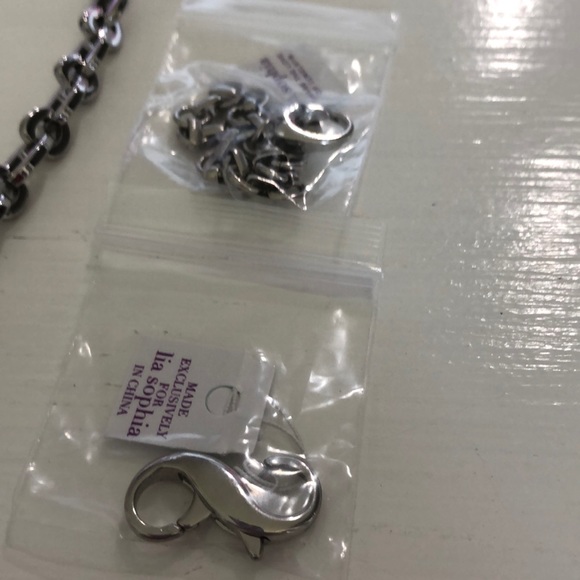 NWT Lia Sophia Polished Silver Necklace - Picture 3 of 3